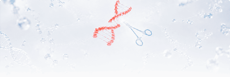 Molecular Biology Enzymes
